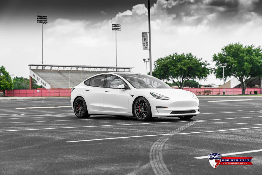 EVS Vorsteiner Gallery