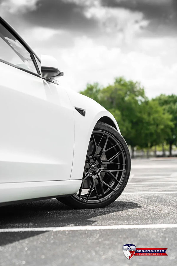 EVS x Vorsteiner