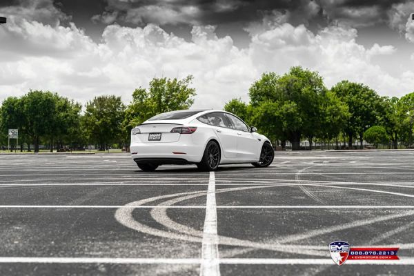 EVS x Vorsteiner