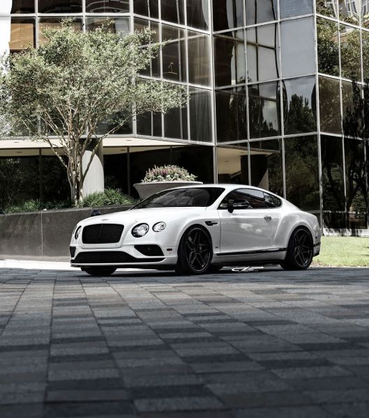 EVS Motors - white car