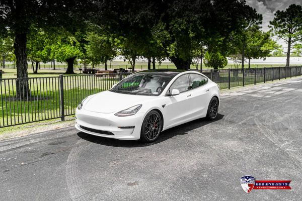 EVS x Vorsteiner