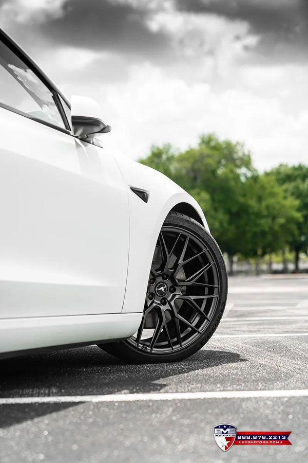 EVS x Vorsteiner